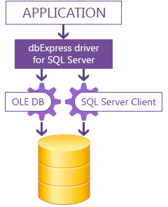 driver dbexpress sql server